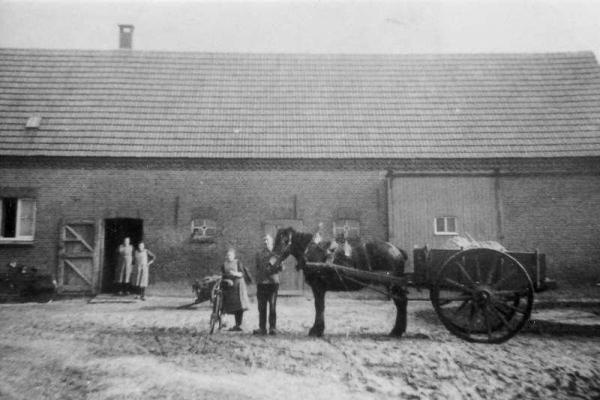 Heibloem vanaf de jaren 50