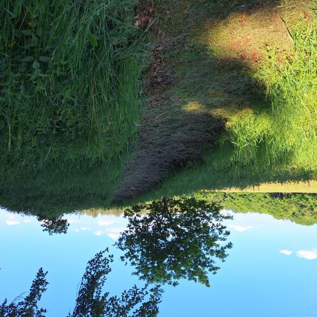 Berg roggelse beek